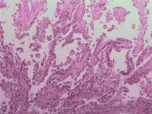 20251030639447.png 3.png